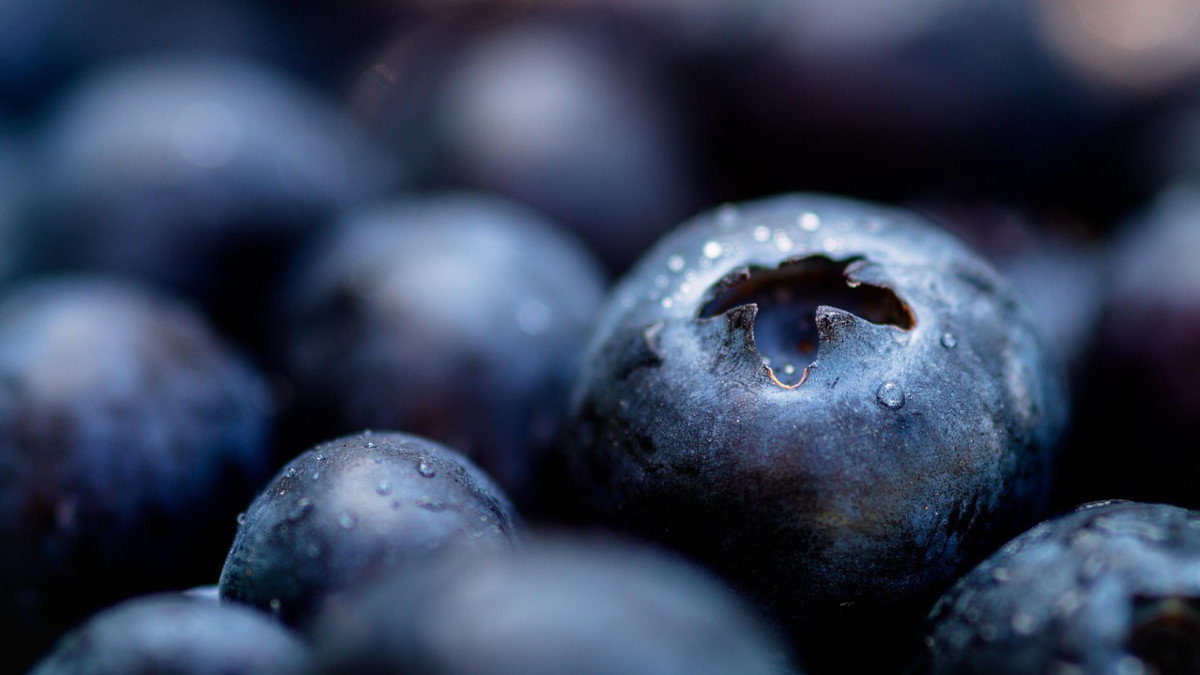 More Antioxidants in Frozen Blueberries: The Icy Advantage